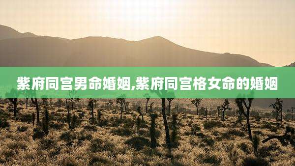 紫府同宫男命婚姻,紫府同宫格女命的婚姻