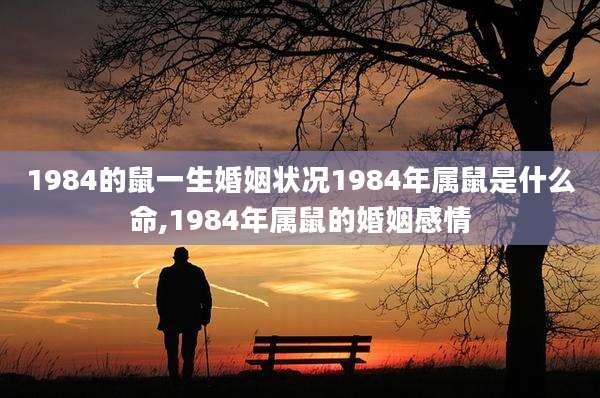 1984的鼠一生婚姻状况1984年属鼠是什么命,1984年属鼠的婚姻感情