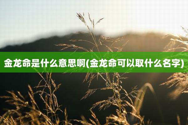 金龙命是什么意思啊(金龙命可以取什么名字)