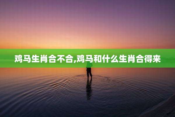 鸡马生肖合不合,鸡马和什么生肖合得来