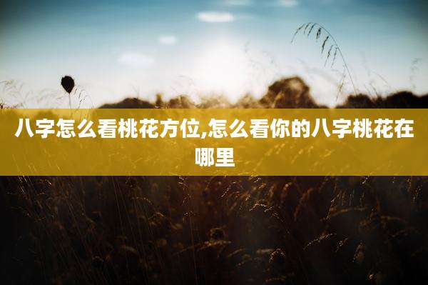 八字怎么看桃花方位,怎么看你的八字桃花在哪里