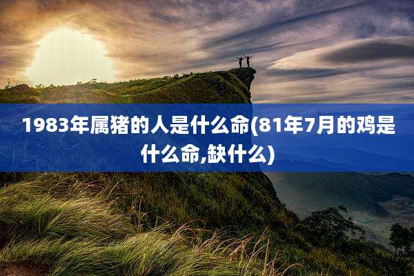 1983年属猪的人是什么命(81年7月的鸡是什么命,缺什么)