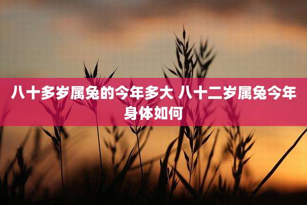八十多岁属兔的今年多大 八十二岁属兔今年身体如何