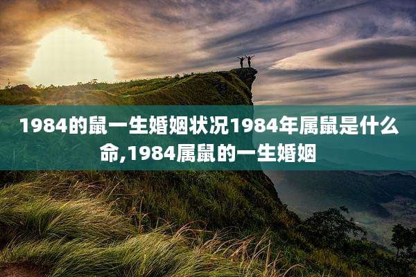1984的鼠一生婚姻状况1984年属鼠是什么命,1984属鼠的一生婚姻