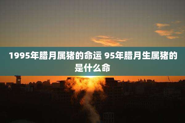 1995年腊月属猪的命运 95年腊月生属猪的是什么命