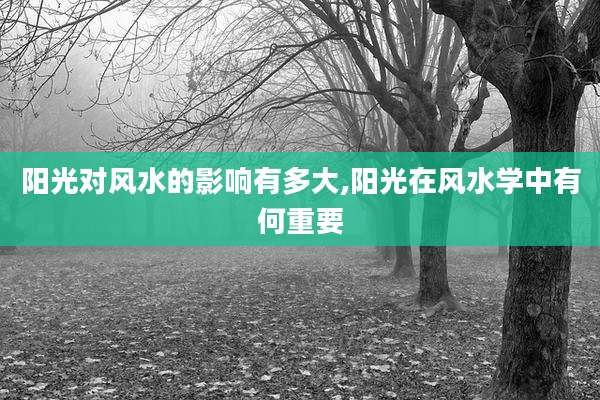 阳光对风水的影响有多大,阳光在风水学中有何重要