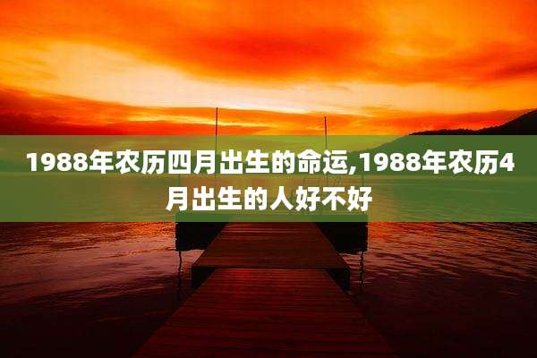 1988年农历四月出生的命运,1988年农历4月出生的人好不好