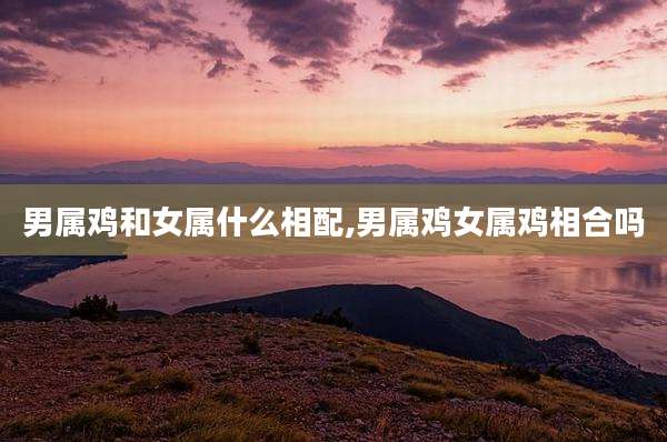 男属鸡和女属什么相配,男属鸡女属鸡相合吗