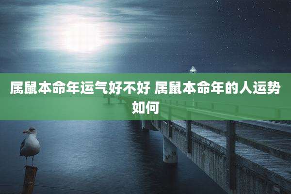 属鼠本命年运气好不好 属鼠本命年的人运势如何