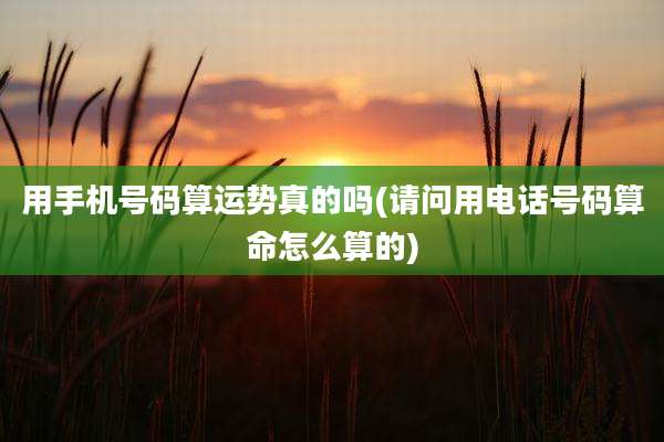 用手机号码算运势真的吗(请问用电话号码算命怎么算的)