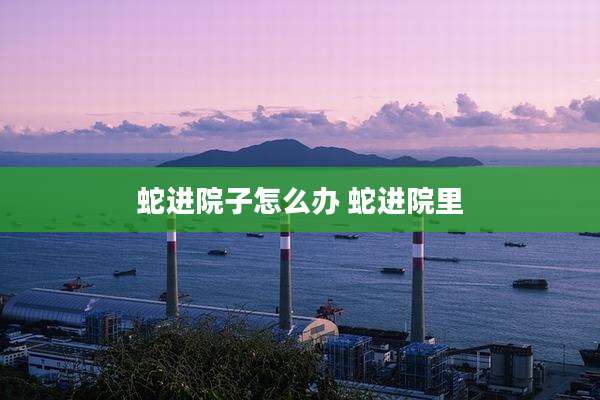 蛇进院子怎么办 蛇进院里