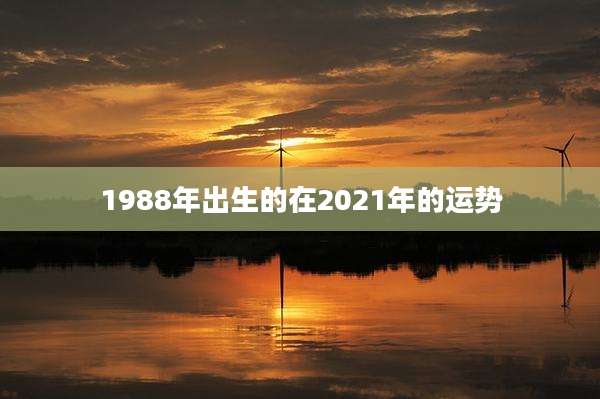 1988年出生的在2021年的运势