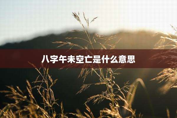 八字午未空亡是什么意思