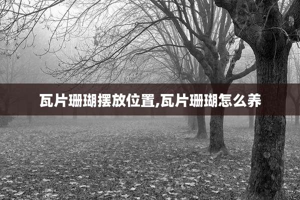 瓦片珊瑚摆放位置,瓦片珊瑚怎么养