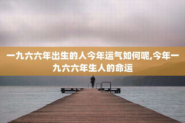 一九六六年出生的人今年运气如何呢,今年一九六六年生人的命运