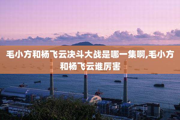 毛小方和杨飞云决斗大战是哪一集啊,毛小方和杨飞云谁厉害