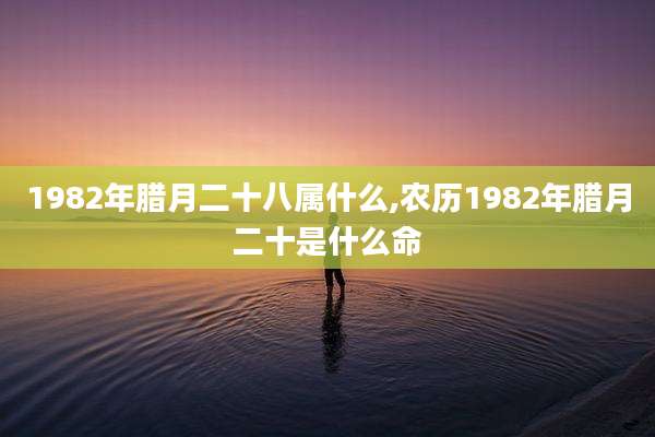1982年腊月二十八属什么,农历1982年腊月二十是什么命