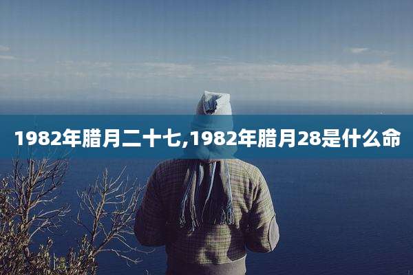 1982年腊月二十七,1982年腊月28是什么命