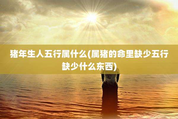 猪年生人五行属什么(属猪的命里缺少五行缺少什么东西)