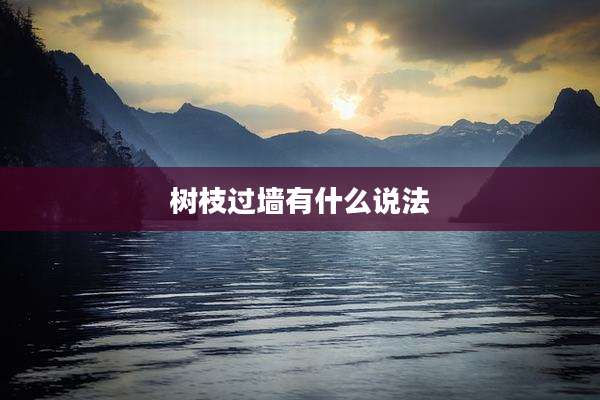 树枝过墙有什么说法