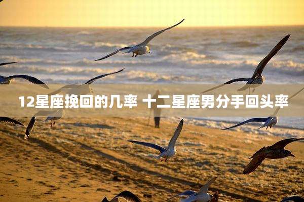 12星座挽回的几率 十二星座男分手回头率