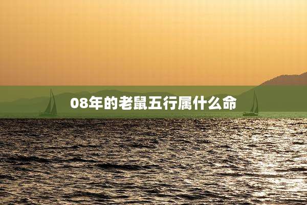 08年的老鼠五行属什么命