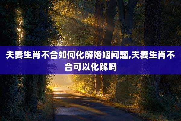 夫妻生肖不合如何化解婚姻问题,夫妻生肖不合可以化解吗