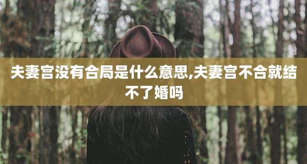 夫妻宫没有合局是什么意思,夫妻宫不合就结不了婚吗