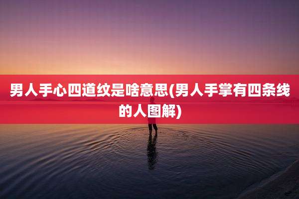 男人手心四道纹是啥意思(男人手掌有四条线的人图解)