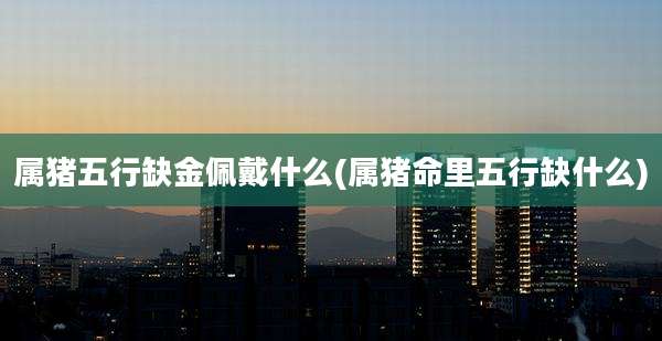 属猪五行缺金佩戴什么(属猪命里五行缺什么)