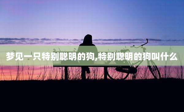 梦见一只特别聪明的狗,特别聪明的狗叫什么