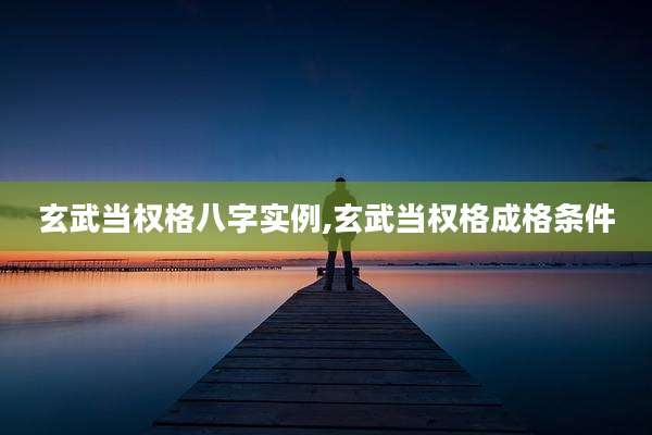 玄武当权格八字实例,玄武当权格成格条件