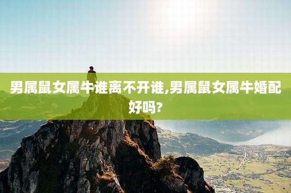 男属鼠女属牛谁离不开谁,男属鼠女属牛婚配好吗?