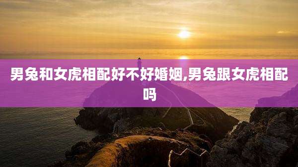 男兔和女虎相配好不好婚姻,男兔跟女虎相配吗