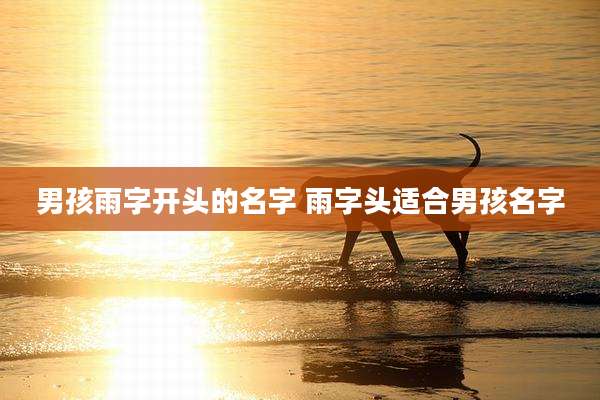 男孩雨字开头的名字 雨字头适合男孩名字