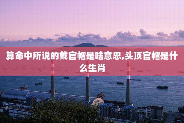 算命中所说的戴官帽是啥意思,头顶官帽是什么生肖