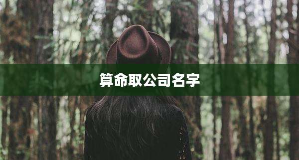 算命取公司名字