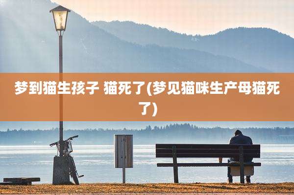 梦到猫生孩子 猫死了(梦见猫咪生产母猫死了)