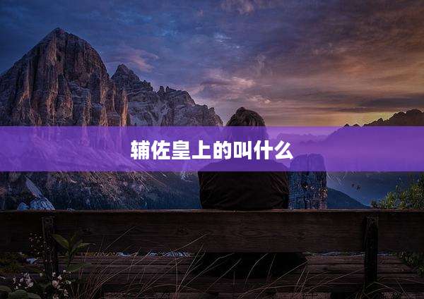 辅佐皇上的叫什么