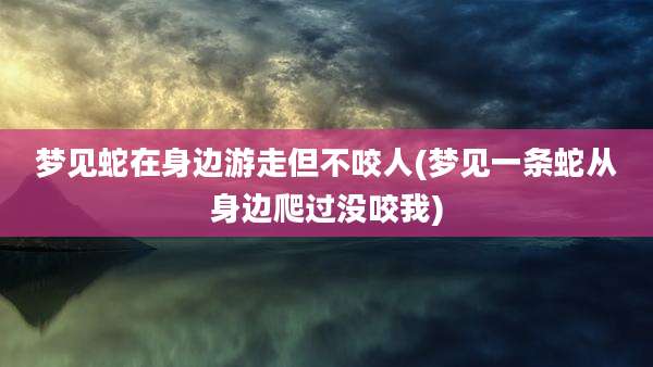 梦见蛇在身边游走但不咬人(梦见一条蛇从身边爬过没咬我)