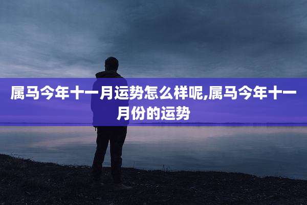 属马今年十一月运势怎么样呢,属马今年十一月份的运势