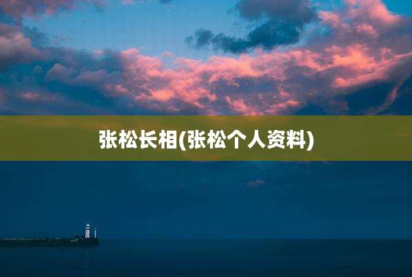 张松长相(张松个人资料)