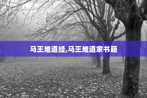 马王堆道经,马王堆道家书籍