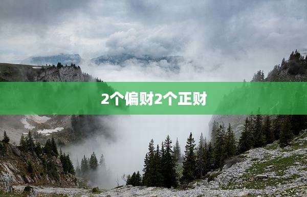 2个偏财2个正财