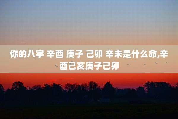 你的八字 辛酉 庚子 己卯 辛未是什么命,辛酉己亥庚子己卯
