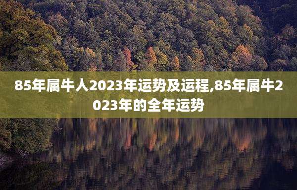 85年属牛人2023年运势及运程,85年属牛2023年的全年运势