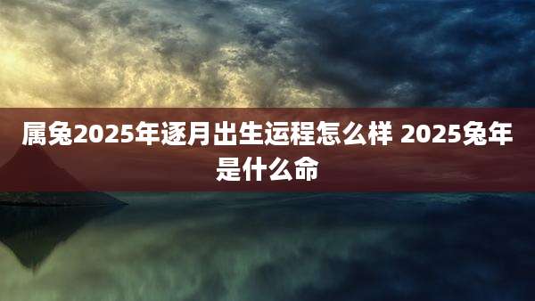 属兔2025年逐月出生运程怎么样 2025兔年是什么命