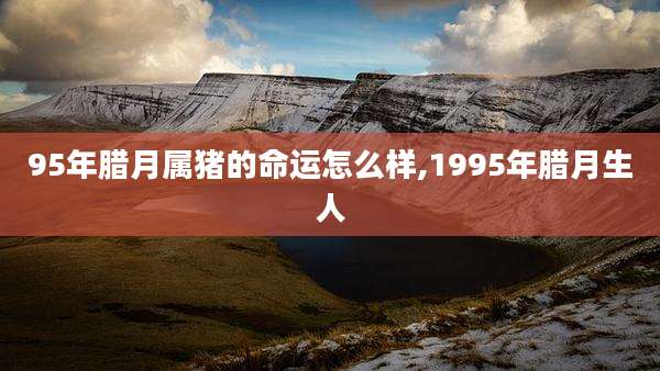 95年腊月属猪的命运怎么样,1995年腊月生人
