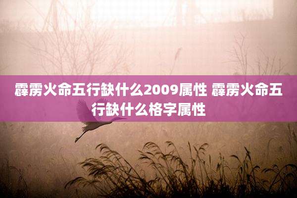 霹雳火命五行缺什么2009属性 霹雳火命五行缺什么格字属性