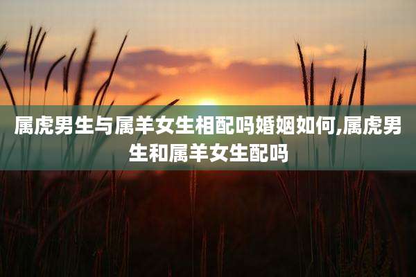 属虎男生与属羊女生相配吗婚姻如何,属虎男生和属羊女生配吗